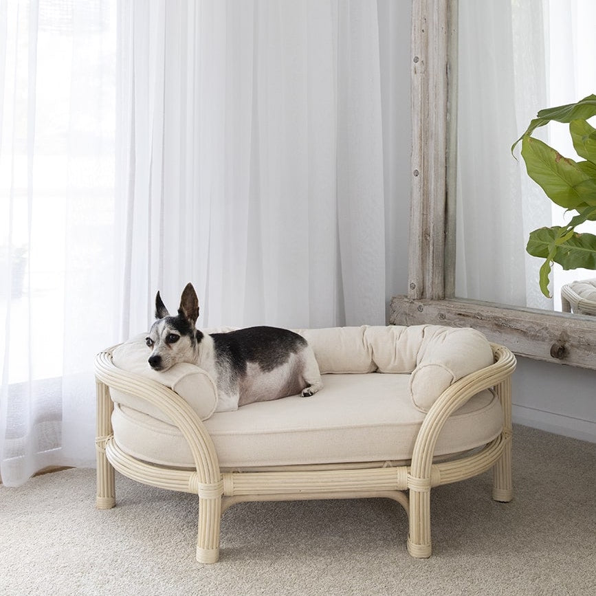 Luxury Rattan Dog Beds - The Bees Knees Collective Australia