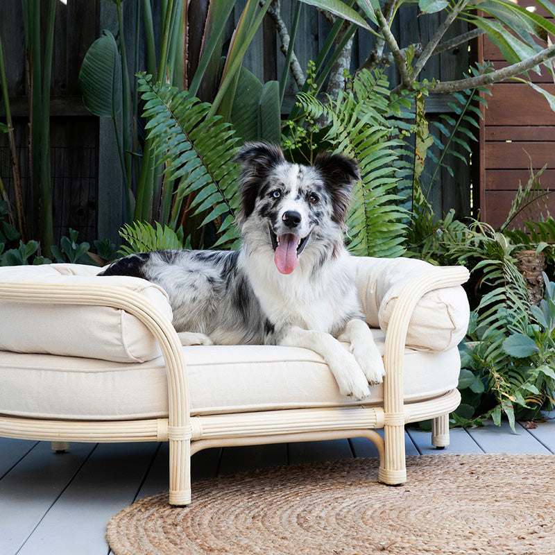 Luxury Rattan Dog Beds - The Bees Knees Collective Australia