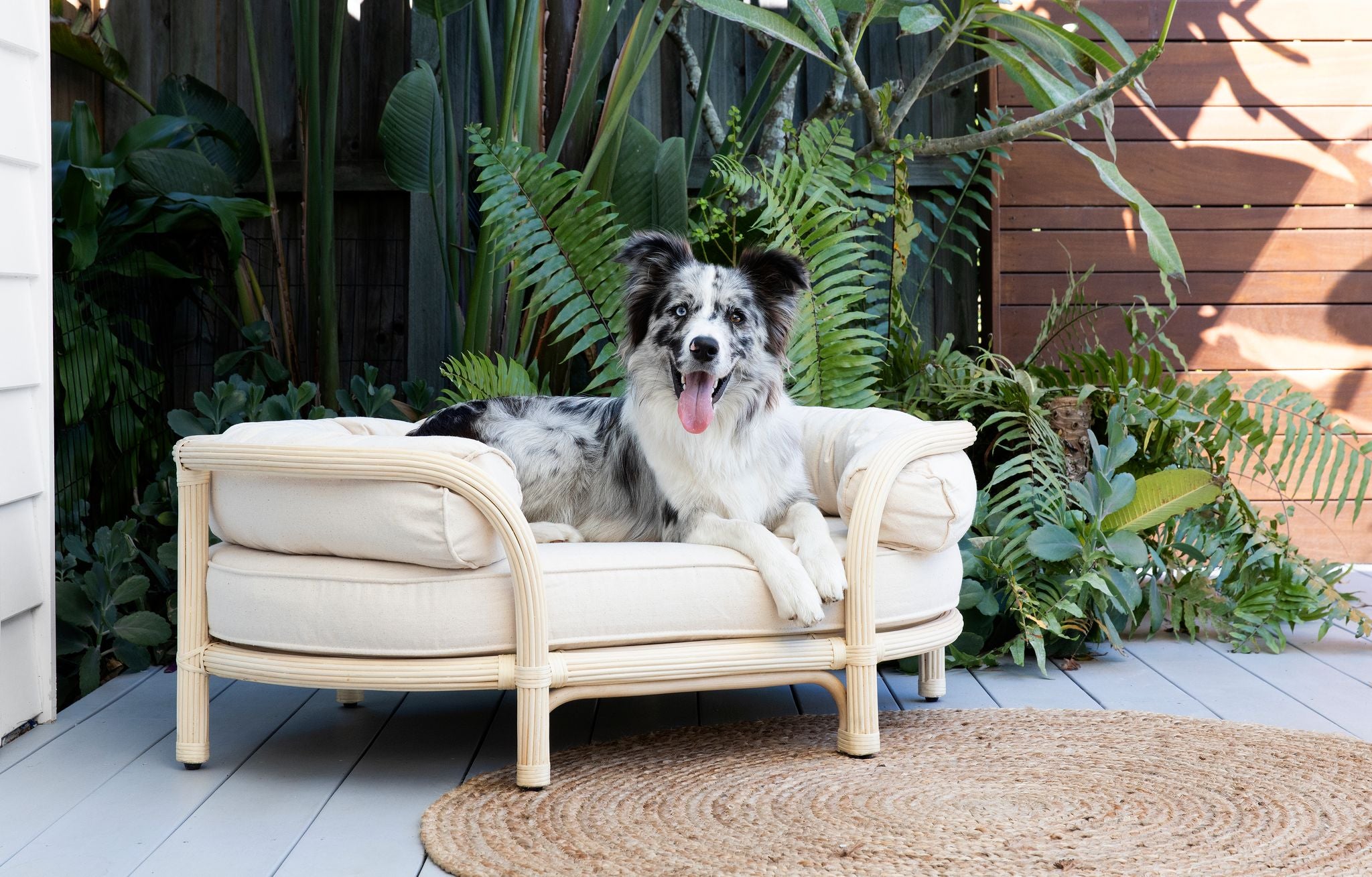 Luxury Rattan Dog Beds - The Bees Knees Collective Australia