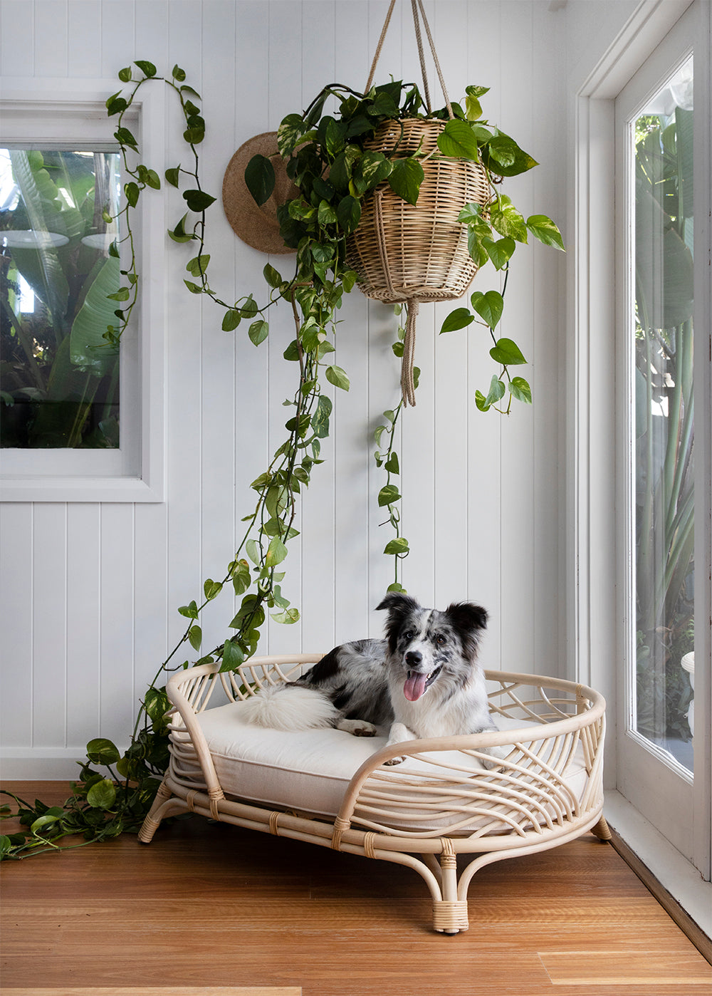 Amber Rattan Dog Bed - Australian Designed - Bees Knees Collective