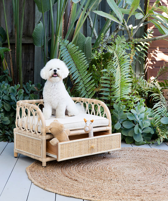 Dixie Rattan Dog Bed Designed in Australia by Bees Knees Collective