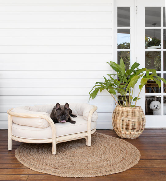 Minti Rattan Oval Shaped Dog Bed - Australian Designed by The Bees Knees Collective