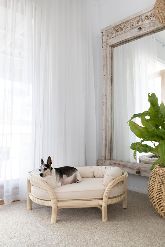 Minti Rattan Oval Dog Bed - Australian Designed by The Bees Knees Collective