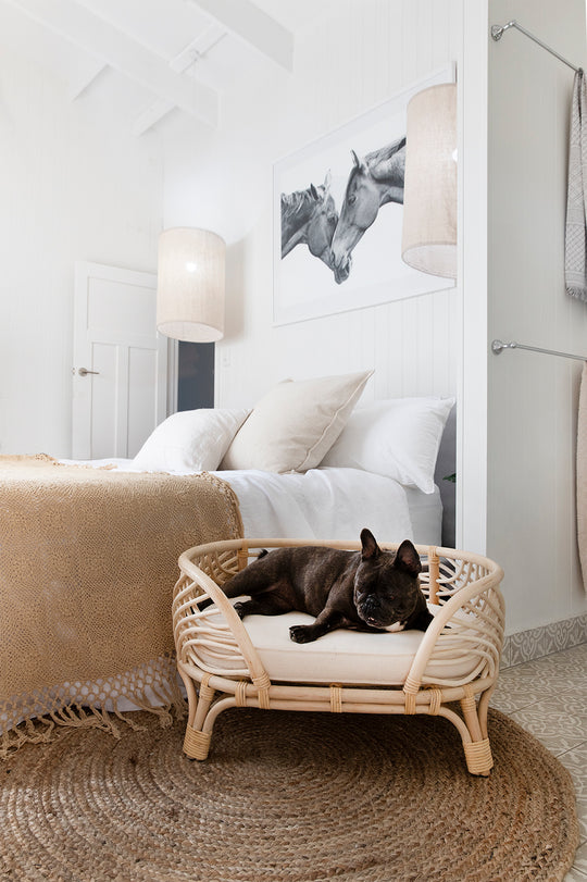 Amber Rattan Dog Bed - Australian Designed - Bees Knees Collective
